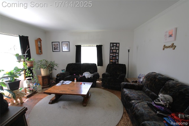 116 N Shiawassee St, Bancroft, MI 48414 - living room with healthy amount of natural light and crown molding