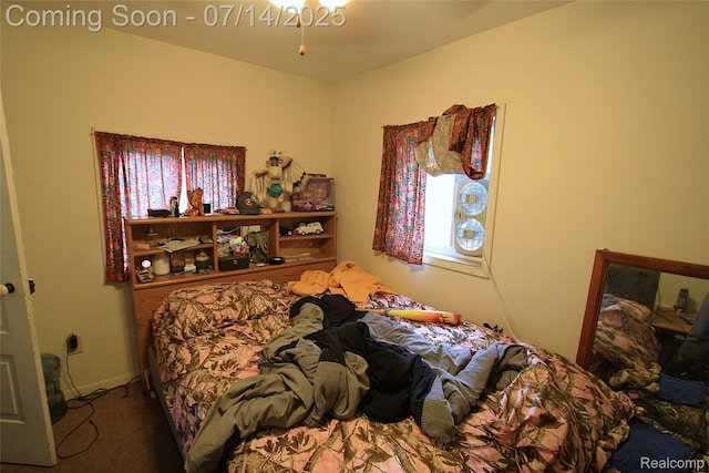 116 N Shiawassee St, Bancroft, MI 48414 - view of carpeted bedroom