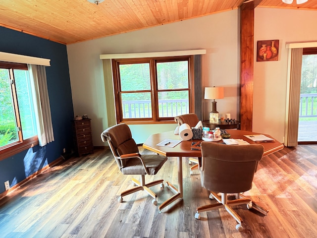 11585 190th Ave, Big Rapids, MI 49307 - home office featuring wood ceiling, vaulted ceiling, and wood finished floors