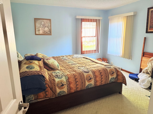 11585 190th Ave, Big Rapids, MI 49307 - bedroom with carpet and a textured ceiling