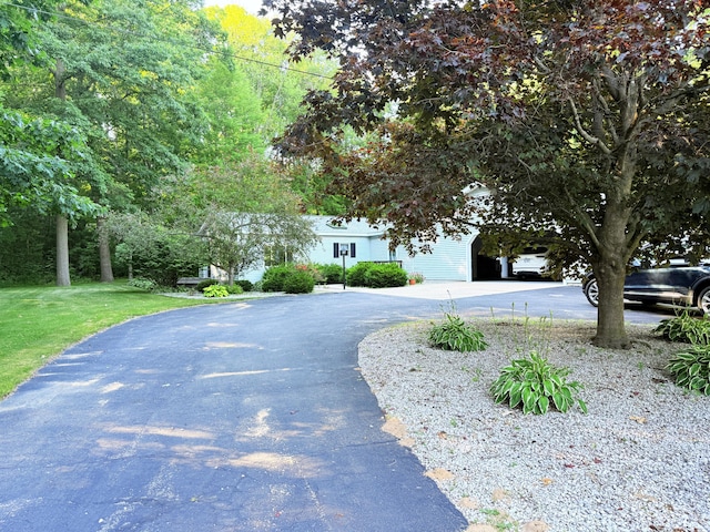 11585 190th Ave, Big Rapids, MI 49307 - view of asphalt driveway
