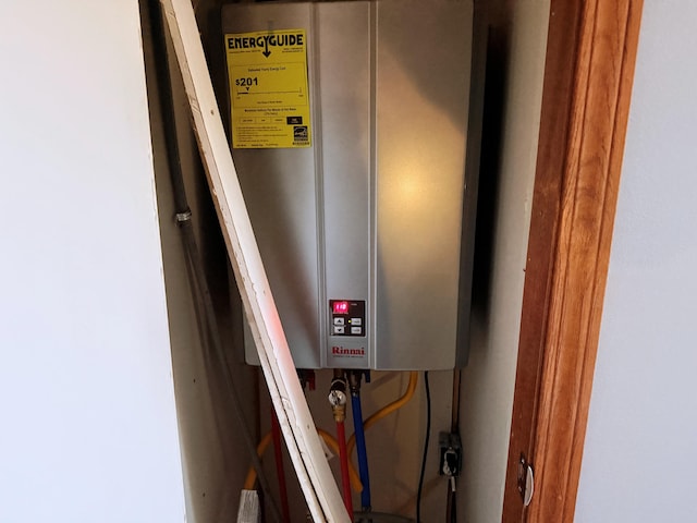 11585 190th Ave, Big Rapids, MI 49307 - detailed view of water heater