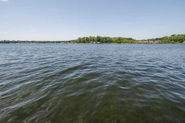 5680 Woodland Ave, Watervliet, MI 49098 - water view