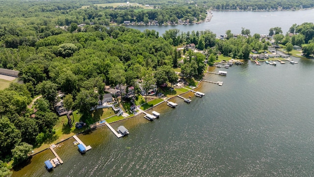 5680 Woodland Ave, Watervliet, MI 49098 - drone / aerial view of a large body of water and a forest