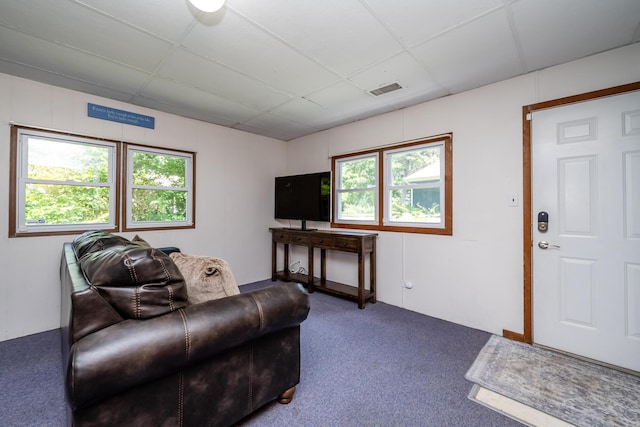 5680 Woodland Ave, Watervliet, MI 49098 - living area with a paneled ceiling, carpet floors, and plenty of natural light