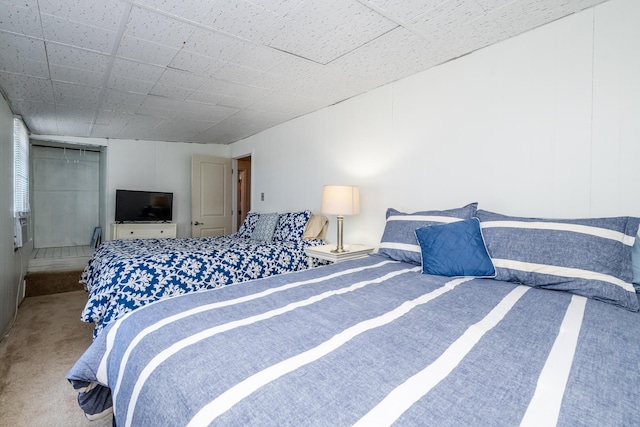 5680 Woodland Ave, Watervliet, MI 49098 - bedroom with carpet floors