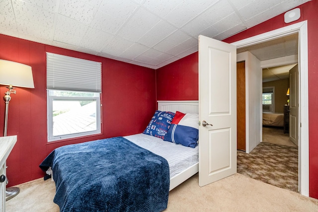 5680 Woodland Ave, Watervliet, MI 49098 - bedroom featuring carpet floors