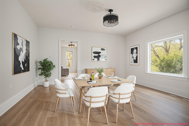 22121 Bedford Rd N, Battle Creek, MI 49017 - dining area featuring light wood finished floors and healthy amount of natural light