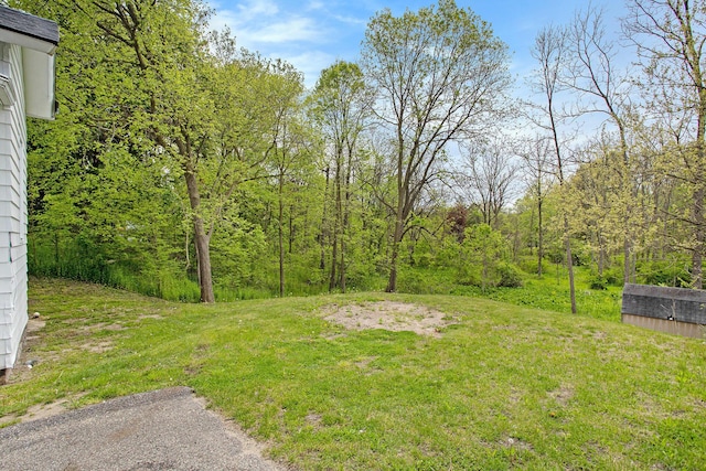 22121 Bedford Rd N, Battle Creek, MI 49017 - view of green lawn featuring a wooded view