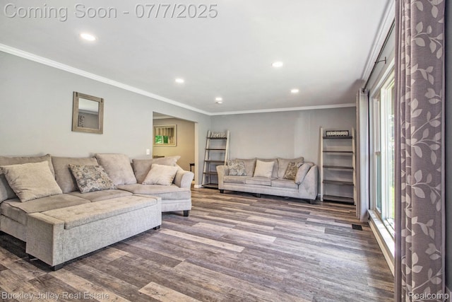 1049 Hillcrest Ave, Brighton, MI 48116 - living area featuring healthy amount of natural light, dark wood-type flooring, recessed lighting, and ornamental molding