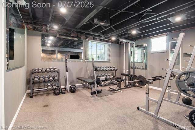 1049 Hillcrest Ave, Brighton, MI 48116 - workout area featuring healthy amount of natural light