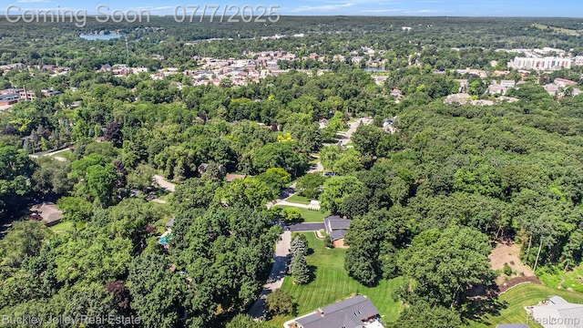 1049 Hillcrest Ave, Brighton, MI 48116 - aerial view of property's location featuring a forest