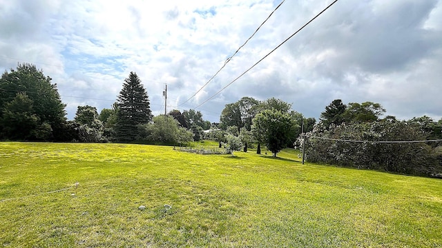838 Meadow Dr, Traverse City, MI 49685 - view of green lawn