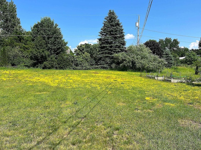 838 Meadow Dr, Traverse City, MI 49685 - view of grassy yard