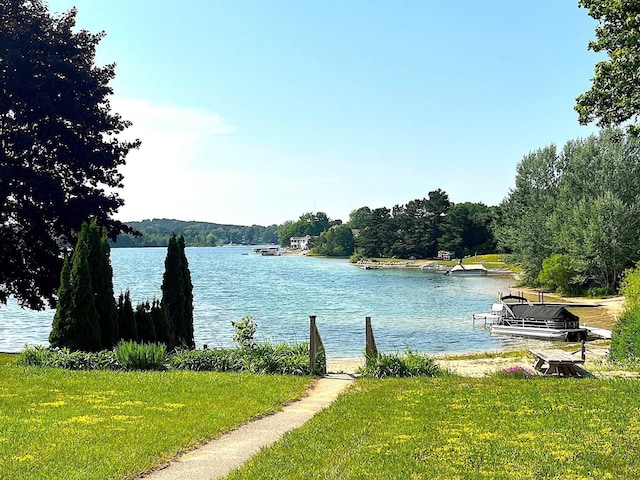 838 Meadow Dr, Traverse City, MI 49685 - water view with a dock and a forest
