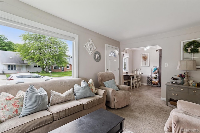 14634 Mcguire St, Taylor, MI 48180 - living room featuring carpet floors and baseboards