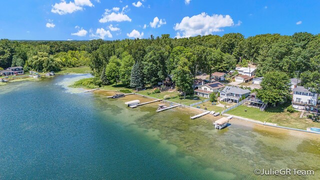 11986 Reyburn Dr NE, Sparta, MI 49345 - drone / aerial view of a large body of water and a forest