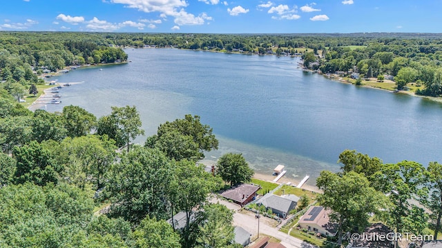 11986 Reyburn Dr NE, Sparta, MI 49345 - drone / aerial view of a forest and a large body of water