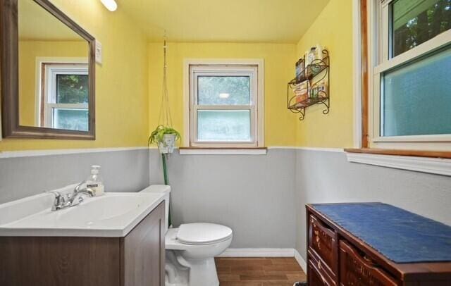 519 Hanover St, Concord, MI 49237 - half bath featuring vanity, plenty of natural light, and wood finished floors