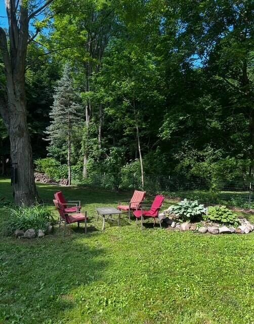 519 Hanover St, Concord, MI 49237 - view of grassy yard