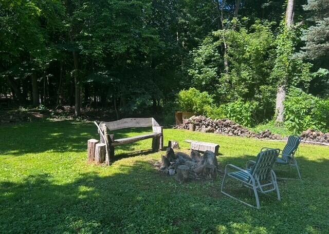 519 Hanover St, Concord, MI 49237 - view of home's community featuring a yard and a view of trees