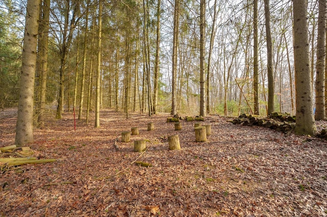 5643 E C Ave, Richland, MI 49083 - view of woods