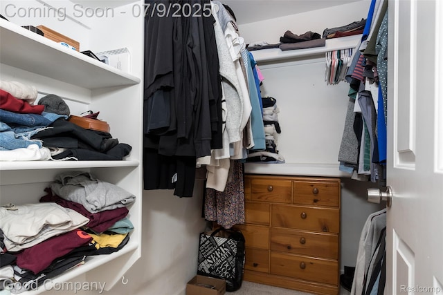 2340 Hamata St, Ferndale, MI 48220 - view of walk in closet