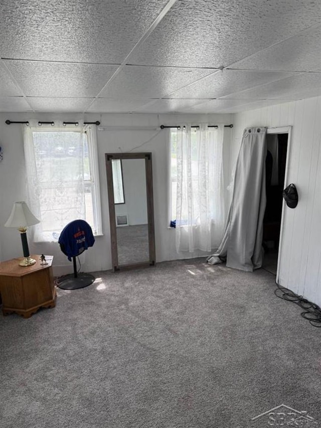 1541 Emily St, Saginaw, MI 48601 - carpeted living room with healthy amount of natural light