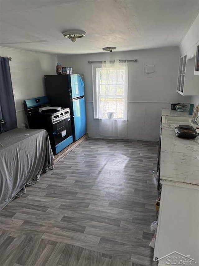 1541 Emily St, Saginaw, MI 48601 - kitchen featuring stove, freestanding refrigerator, dark wood finished floors, and glass insert cabinets