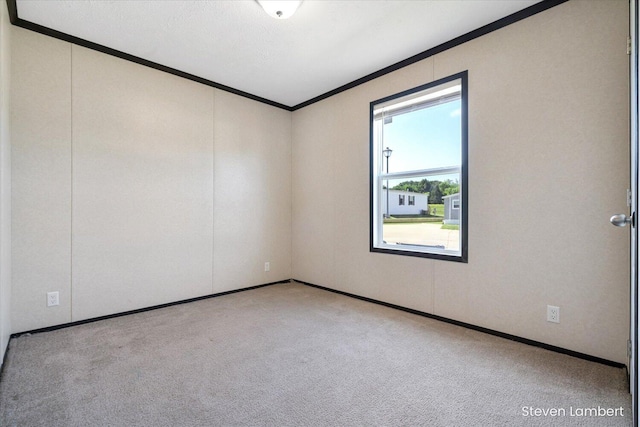 947 Redwood Dr, Hastings, MI 49058 - carpeted spare room with crown molding and baseboards