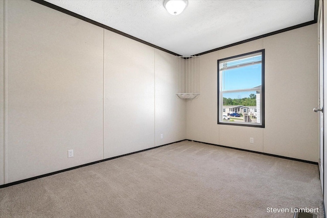 947 Redwood Dr, Hastings, MI 49058 - spare room with a textured ceiling, carpet floors, and crown molding