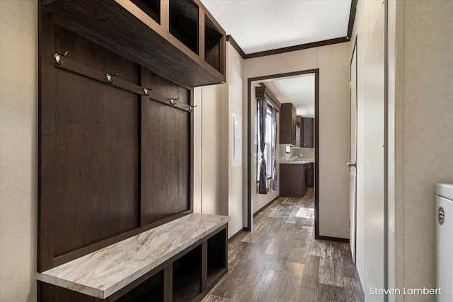 947 Redwood Dr, Hastings, MI 49058 - mudroom featuring dark wood finished floors and ornamental molding