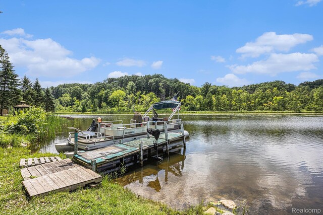 1318 Circle Dr, Metamora, MI 48455