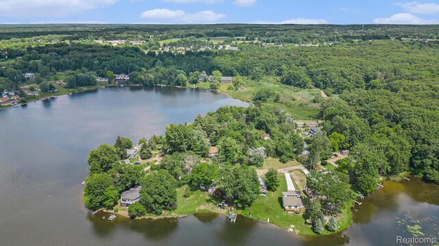 1318 Circle Dr, Metamora, MI 48455