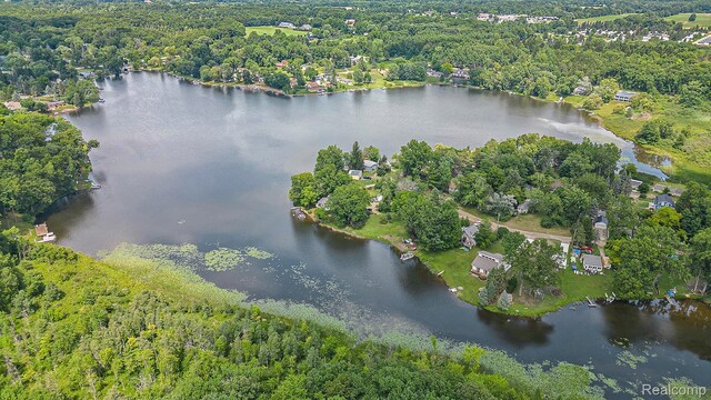 1318 Circle Dr, Metamora, MI 48455