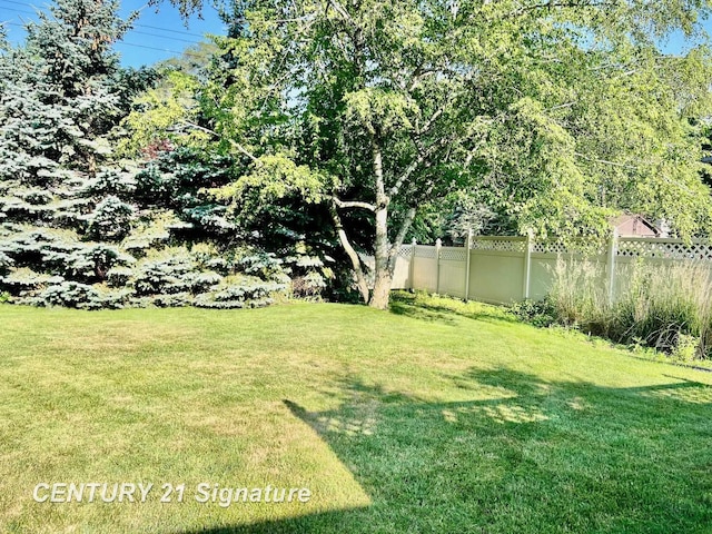 1751 Lathrup Ave, Saginaw, MI 48638 - view of yard