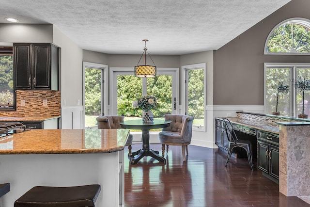 3800 Guest Rd, Jackson, MI 49203 - kitchen with light stone counters, dark wood-type flooring, a wainscoted wall, a textured ceiling, and hanging light fixtures