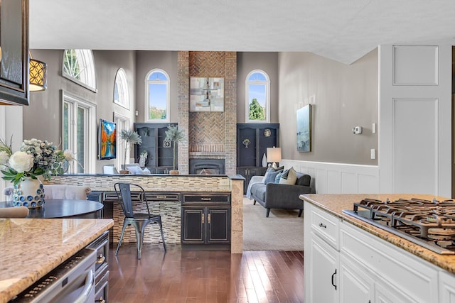 3800 Guest Rd, Jackson, MI 49203 - kitchen with stainless steel gas stovetop, plenty of natural light, light stone countertops, dark wood-type flooring, and a wainscoted wall