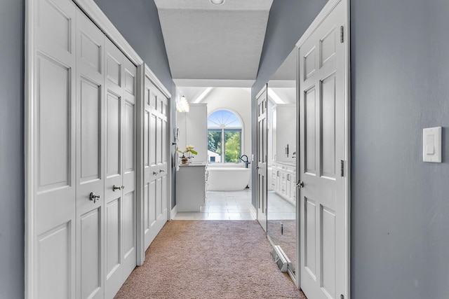 3800 Guest Rd, Jackson, MI 49203 - corridor featuring light colored carpet and lofted ceiling