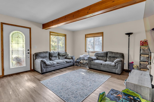 226 Briscoe Pl, Jackson, MI 49203 - living area with plenty of natural light, wood finished floors, and beamed ceiling