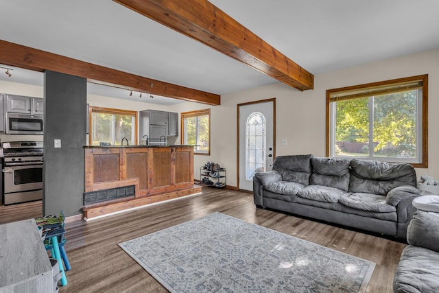 226 Briscoe Pl, Jackson, MI 49203 - living room with dark wood-style flooring and beam ceiling
