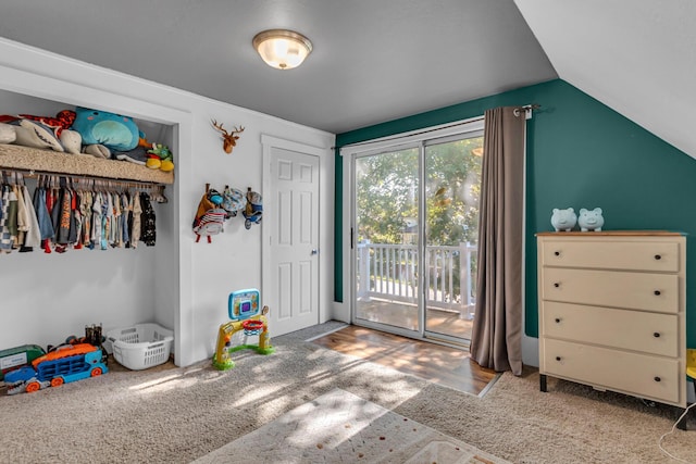226 Briscoe Pl, Jackson, MI 49203 - bedroom with access to outside and lofted ceiling