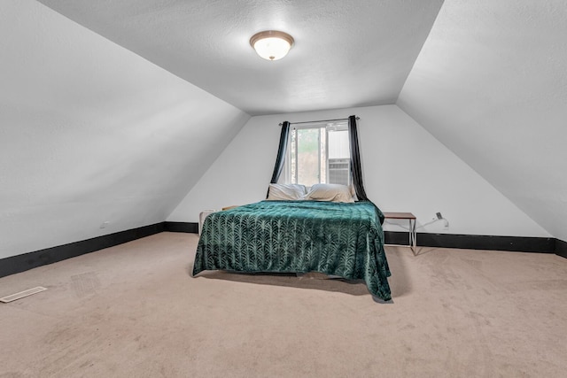 226 Briscoe Pl, Jackson, MI 49203 - bedroom with carpet floors, lofted ceiling, and a textured ceiling