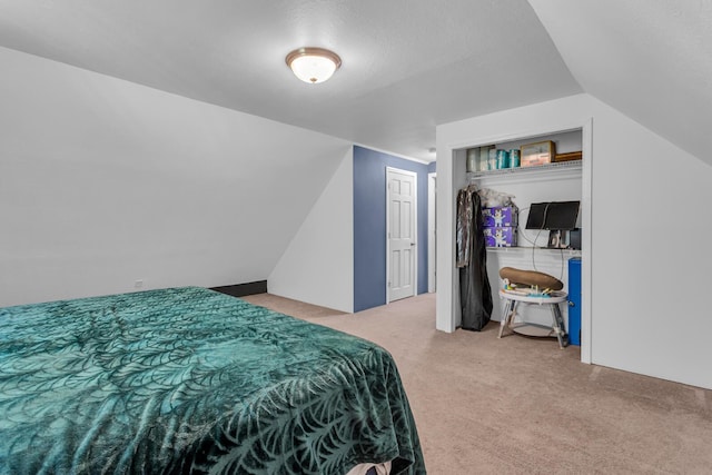 226 Briscoe Pl, Jackson, MI 49203 - bedroom featuring carpet floors and vaulted ceiling