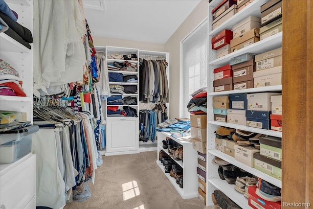 24842 White Plains Dr, Novi, MI 48374 - walk in closet with carpet floors