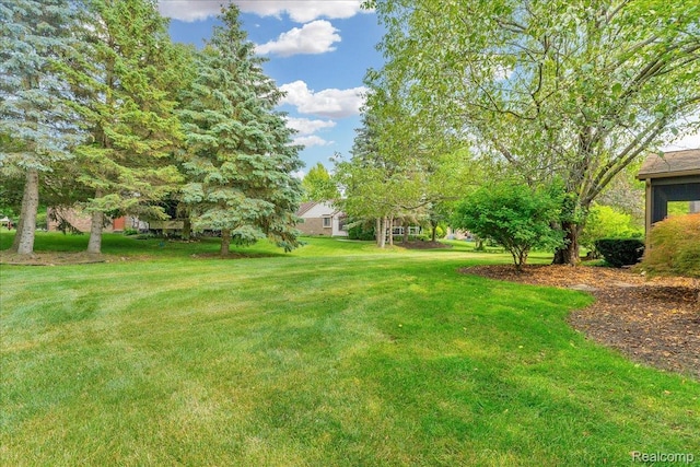 24842 White Plains Dr, Novi, MI 48374 - view of grassy yard