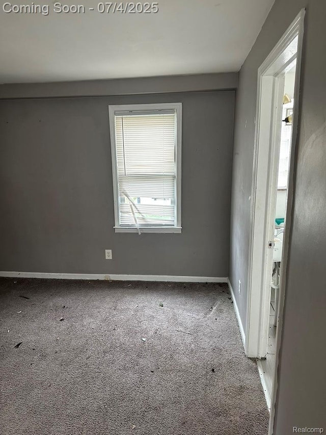 23443 Donaldson St, Clinton Township, MI 48035 - photo 49