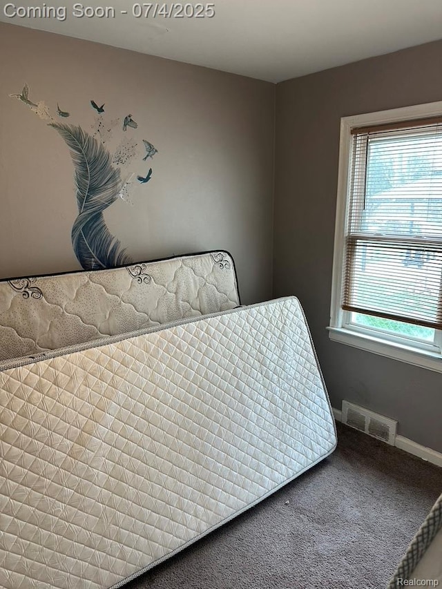 23443 Donaldson St, Clinton Township, MI 48035 - photo 63