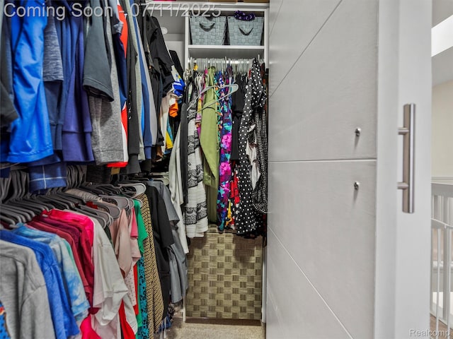 35033 Windsor Dr, New Baltimore, MI 48047 - view of spacious closet