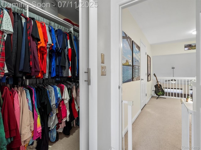 35033 Windsor Dr, New Baltimore, MI 48047 - spacious closet with carpet flooring